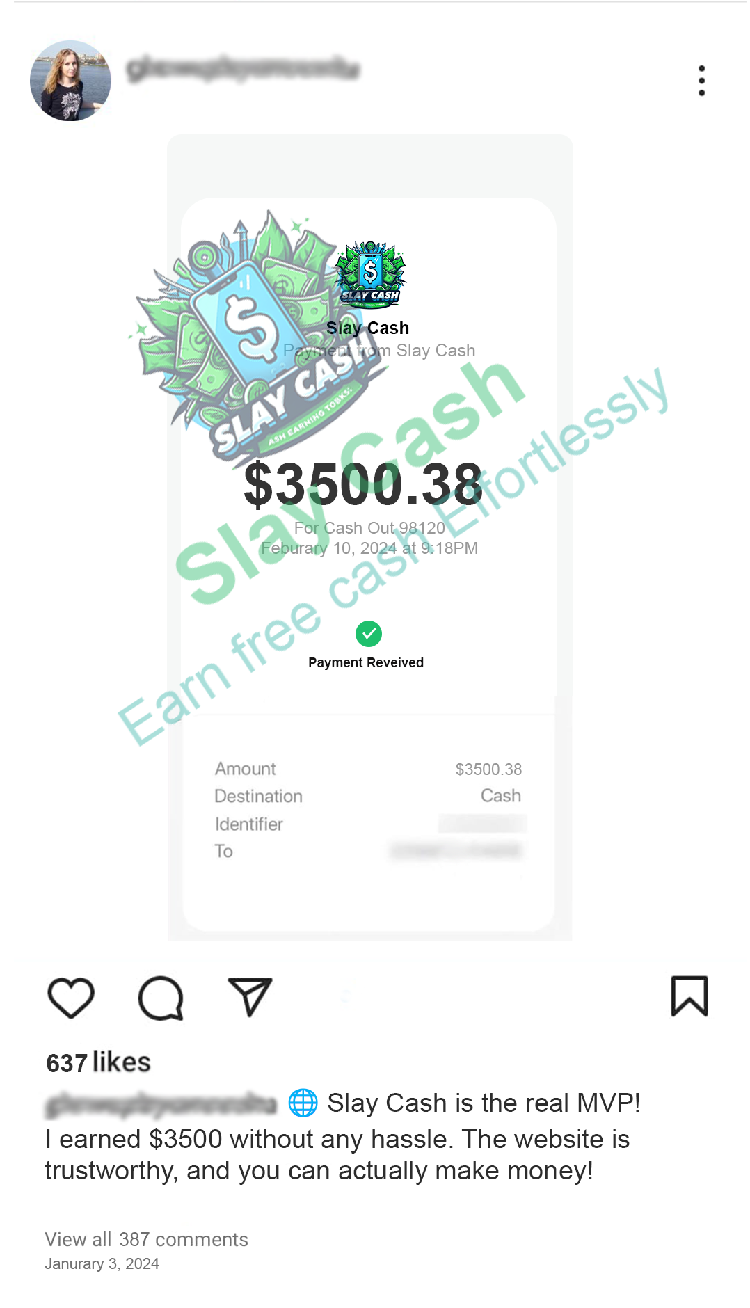 payment proof